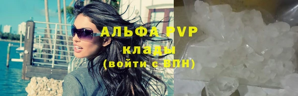 гашик Абаза