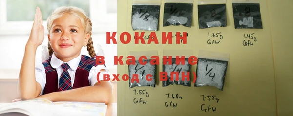 гашик Абаза