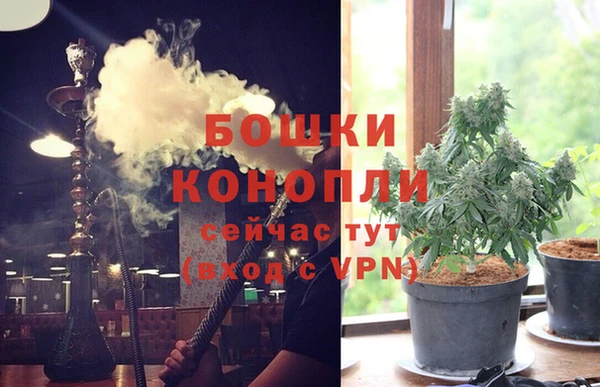 гашик Абаза