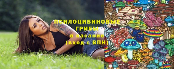 гашик Абаза